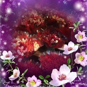 Meet your Posher, Abu